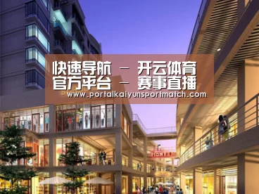 案例展示一(图1)