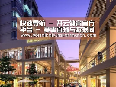 案例展示一